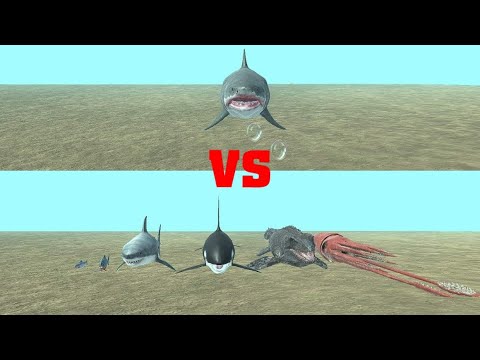 Mutant Megalodon vs Aquatics - Animal Revolt Battle Simulator