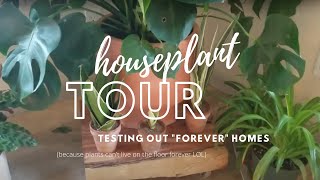 Houseplant Tour
