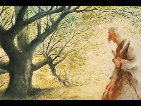 Der Mann, der Bäume pflanzte (Animationsfilm nach Jean Giono)