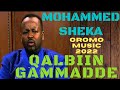 Mohammed Sheka Diid Galgaluu Oromo Music