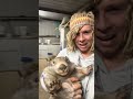 Gomez The Cutest Rescue Wombat Shorts Wildlife Wombat Rescue Joshneille