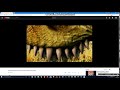 Access Knowledge Kids SCN TVOKids Sinking Ship Entertainment