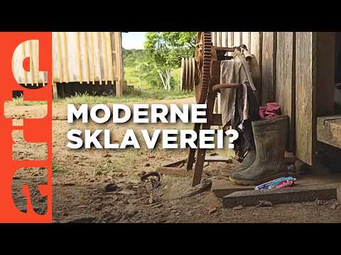 Kein Arbeitsvertrag, kein fairer Lohn | ARTE Journal