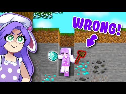 I Played MINECRAFT The WRONG WAY And Broke ALL THE RULES!