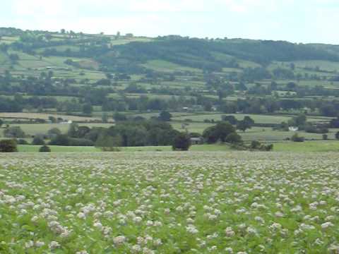 Corvedale from Corfton Farm