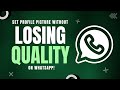 How to Set Whatsapp Profile Picture Without Losing Quality - 2024