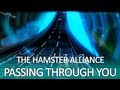 Passing Through You (Hamster Alliance) 