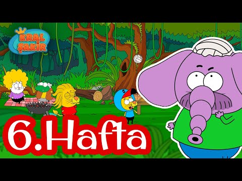 Necati'nin Muhtişim Tatili 🏐 6. Hafta