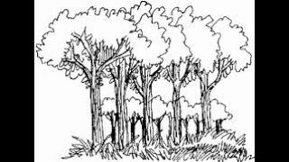 abwh  Time and a Word Owner of a Lonely Heart Teakbois