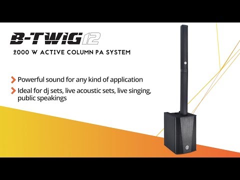 ANT (Advanced Native Technologies) B-TWIG 12 PRO (pair) | Reverb