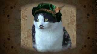 Funny Valentine's Day Cats as Romeo And Juliet - Bob And Charlie's World