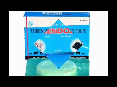 Flunixin Meglumine Injection