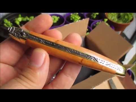 Kurzes Unboxing | Forge de Laguiole Taschenmesser