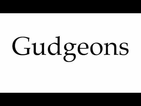 How to Pronounce Gudgeons