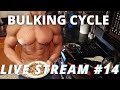 BULK CYCLE LIVE STREAM 14 | LOW TEST CYCLES | BEST PROTEIN FOR LACTOSE INTOLERANT | FAV CUTTING DRUG