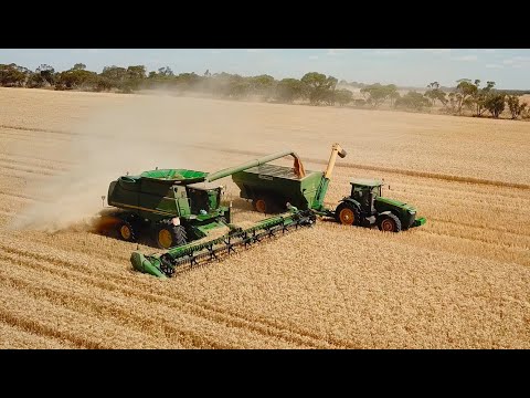 Wheat Harvest Australia 2023 | 4K