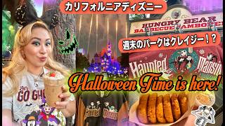 カリフォルニアディズニーの花火のショーは週末のみ!久々の週末インパで圧倒されたインパVLOG🎆🎃✨