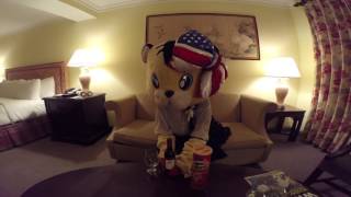 トララんのHOTELレポート Washington DC