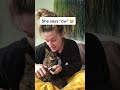 Funny Cats Daily Cat Says Ow When Getting Nails Clipped