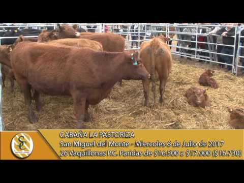 05-07-17 Venta de Vaquillonas PC Con Cría - Cabaña La Pastoriza - San Miguel Del Monte