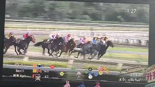 【競馬実況動画2026】第1回新潟競馬1日目11R三条ステークス 3勝クラス クインズショコラ（田山旺佑）