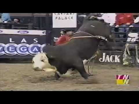 Dillinger bucks Mark Ward - 01 PBR New Orleans