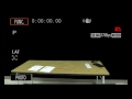 Hallie Wells Live Stream