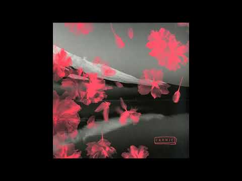 Novio Dub Tribe - AKIBA (Full EP)