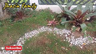 Download lagu AKTIVITAS SORE || MELIHAT TANAMAN HIAS DEPAN RUMAH #ttanamanhias #tanamanpekarangan  mp3