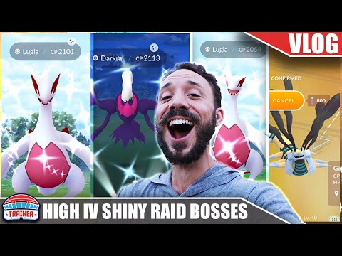 CRAZY LUCK! *HIGH IV SHINY LEGENDARIES* SHINY LUGIA HUNTING - ANIMATION WEEK | Pokémon GO Vlog