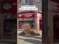 Everytime I See A CeX 👀
