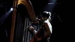 joanna newsom clam crab cockle cowrie