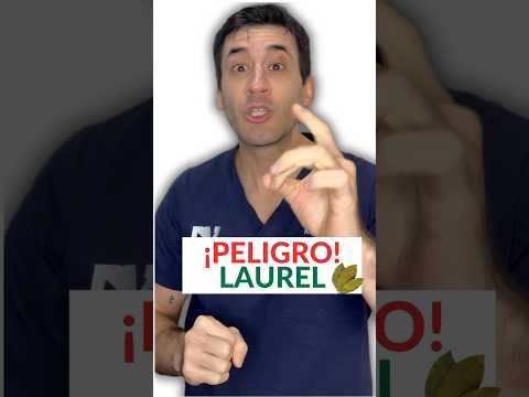 ¡NO COMAS LAUREL sin ver esto! #shorts #short