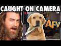 Reacting To The Craziest Things Caught On Security Cameras