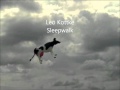 Leo Kottke  Sleepwalk