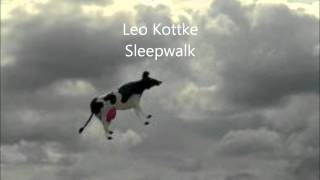 Leo Kottke  Sleepwalk