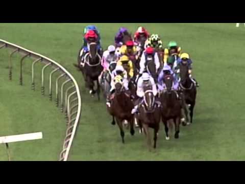 2005 Queen of the Turf Stakes- Ike's Dream