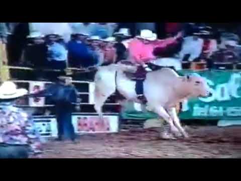 Sigmar Colatruglio vs Seco Cia Verde e Amarelo no rodeio de Presidente Prudente SP 1993