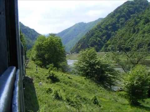 Excursie Feroviara Podu Olt-Ramnicu Valcea partea 1