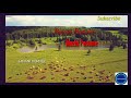Pookal Pookum Tharunam Song Whatsapp Status Lyrics