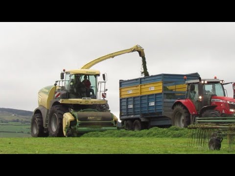 Killen Bros - June Silage - Massey Ferguson