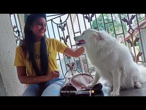 Yesterday Didi Raised What Happened With Priya & Me...#911 🥰🥰🥰