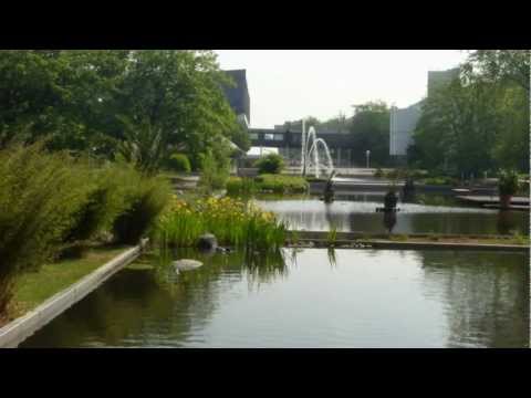 Musik Video-Mallorca Hits 2011