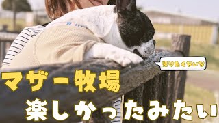 マザー牧場でみんなの願望を叶えてみた！✨