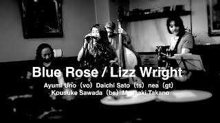Blue Rose/Lizz Wright