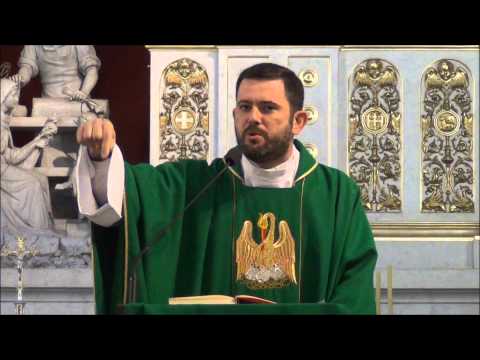 Homilia Ks. Carlosa 22.06.2014 - XII NIEDZIELA ZWYKŁA A