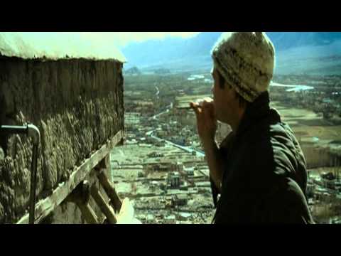 Tu was du willst - Keine Regeln im Leben HD