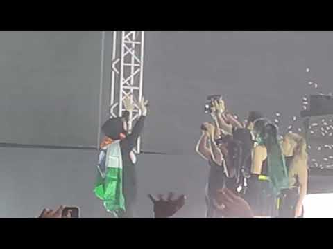 Alan Walker India Tour 2022/ Sunburn arena