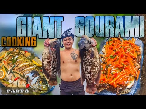 EP858-P3 - Cooking Giant Gourami