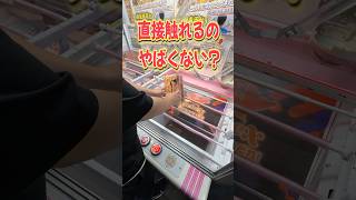 直接触れてしまうクレーンゲーム!? サンリオハローキティBOXに挑戦!! #shorts #short #sanrio #サンリオ #ベネクス #PR